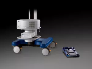 СТАНИНА_результат